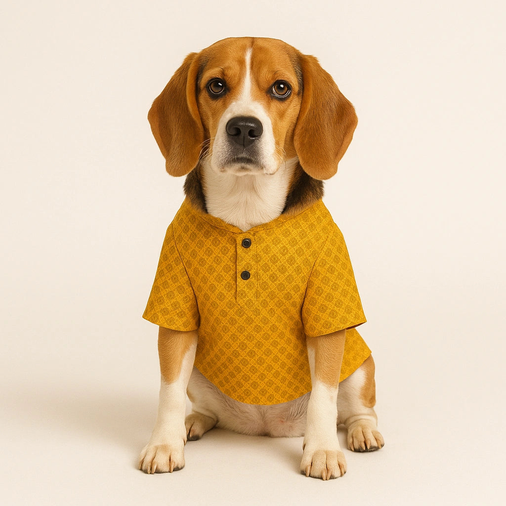 Thunder Tails Yellow Brocade Festive Kurta