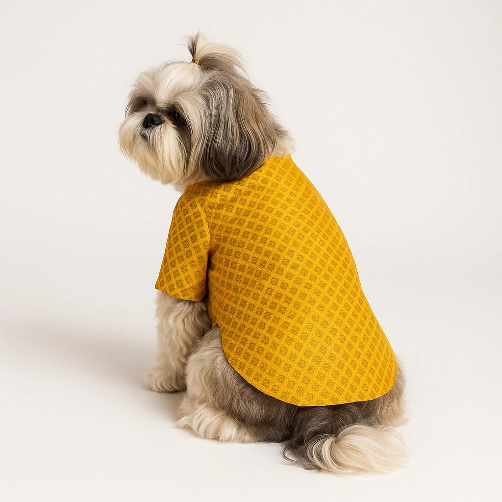 Thunder Tails Yellow Brocade Festive Kurta