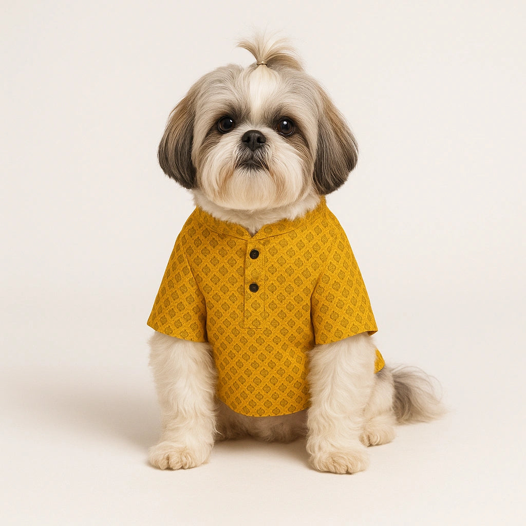 Thunder Tails Yellow Brocade Festive Kurta