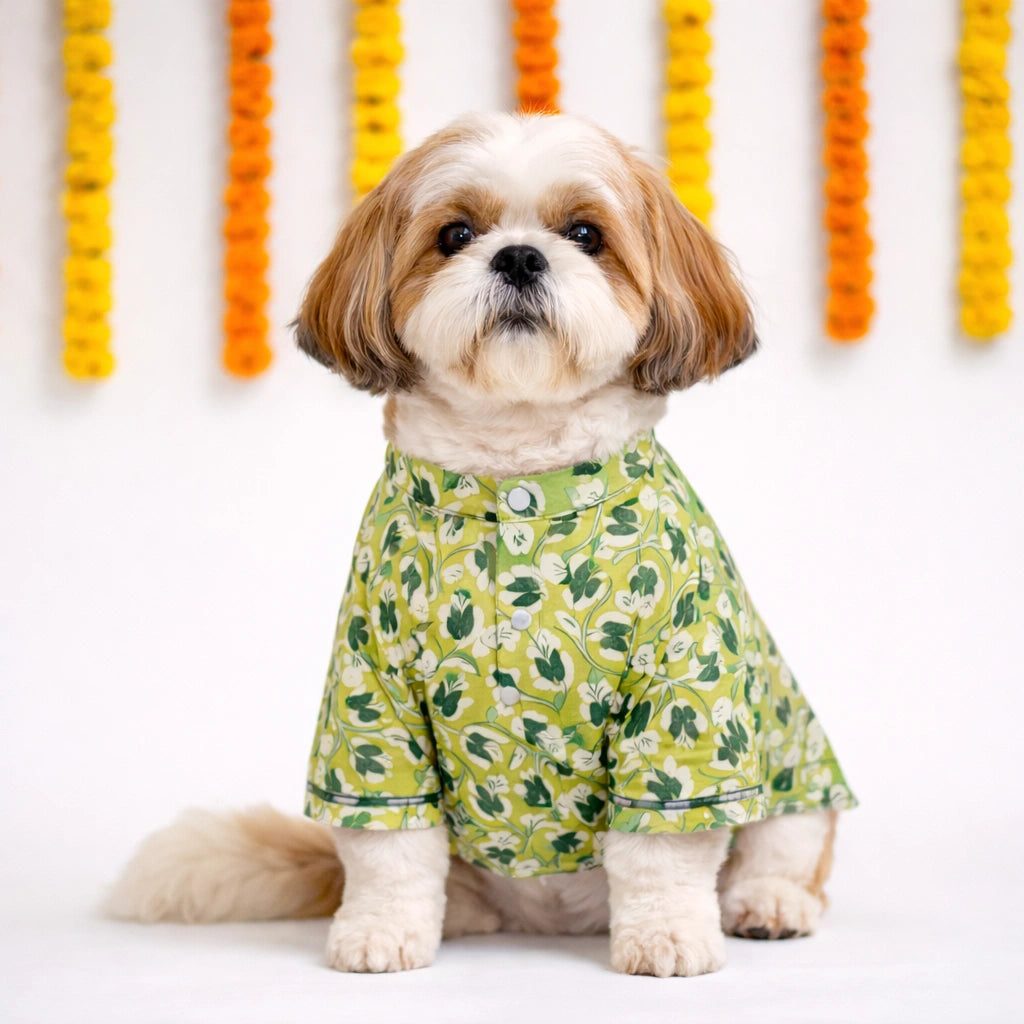 Thunder Tails Green Festive Kurta