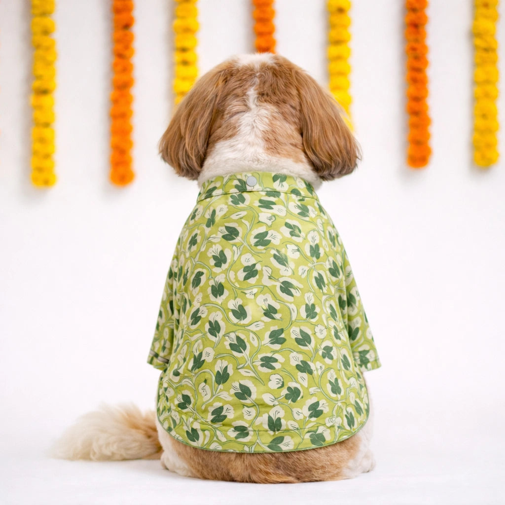 Thunder Tails Green Festive Kurta
