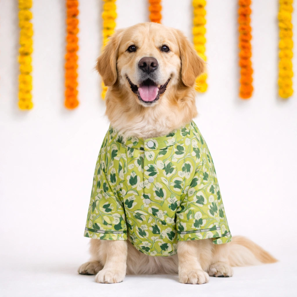 Thunder Tails Green Festive Kurta