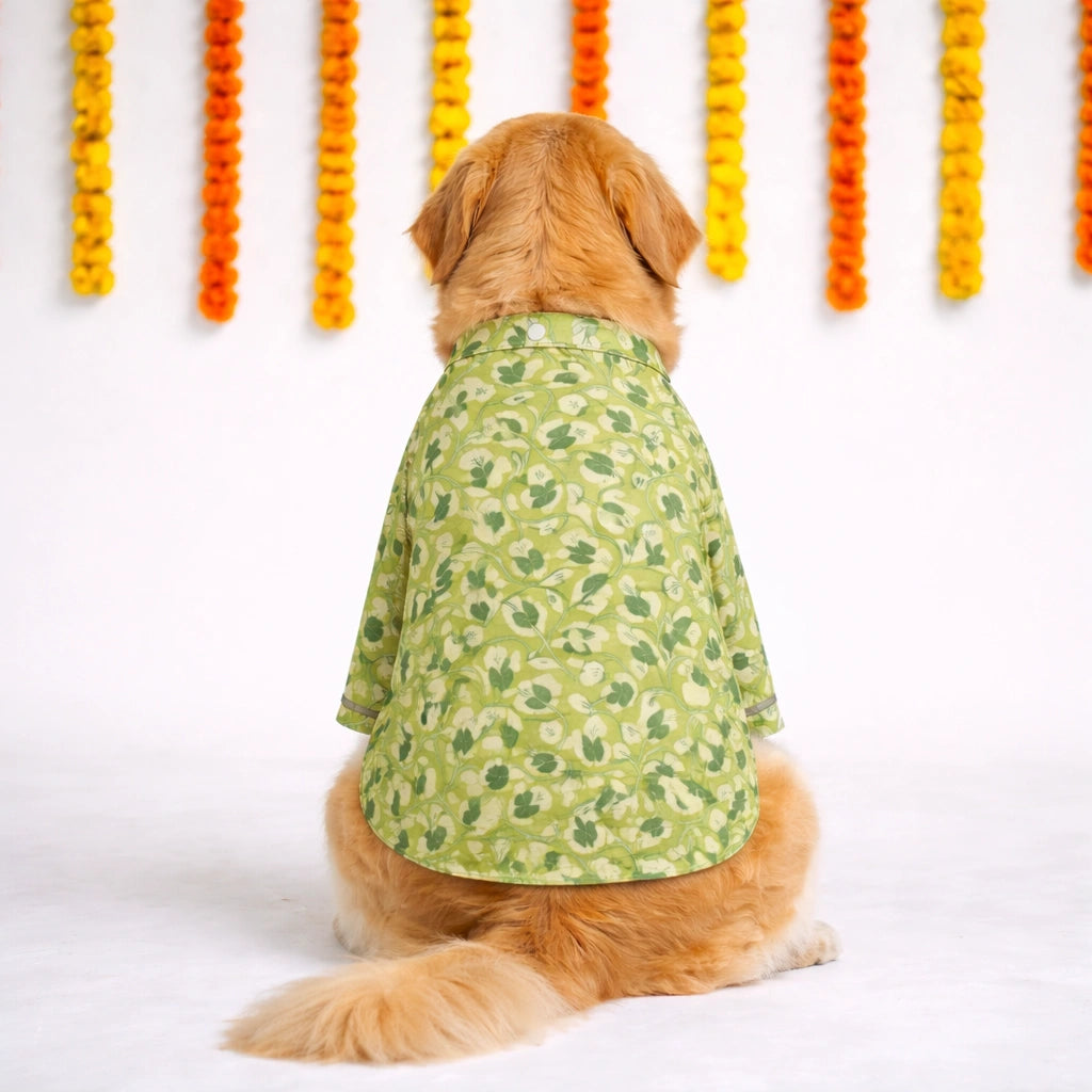 Thunder Tails Green Festive Kurta