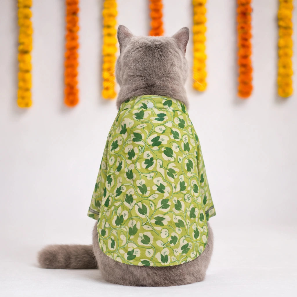 Thunder Tails Green Cat Festive Kurta