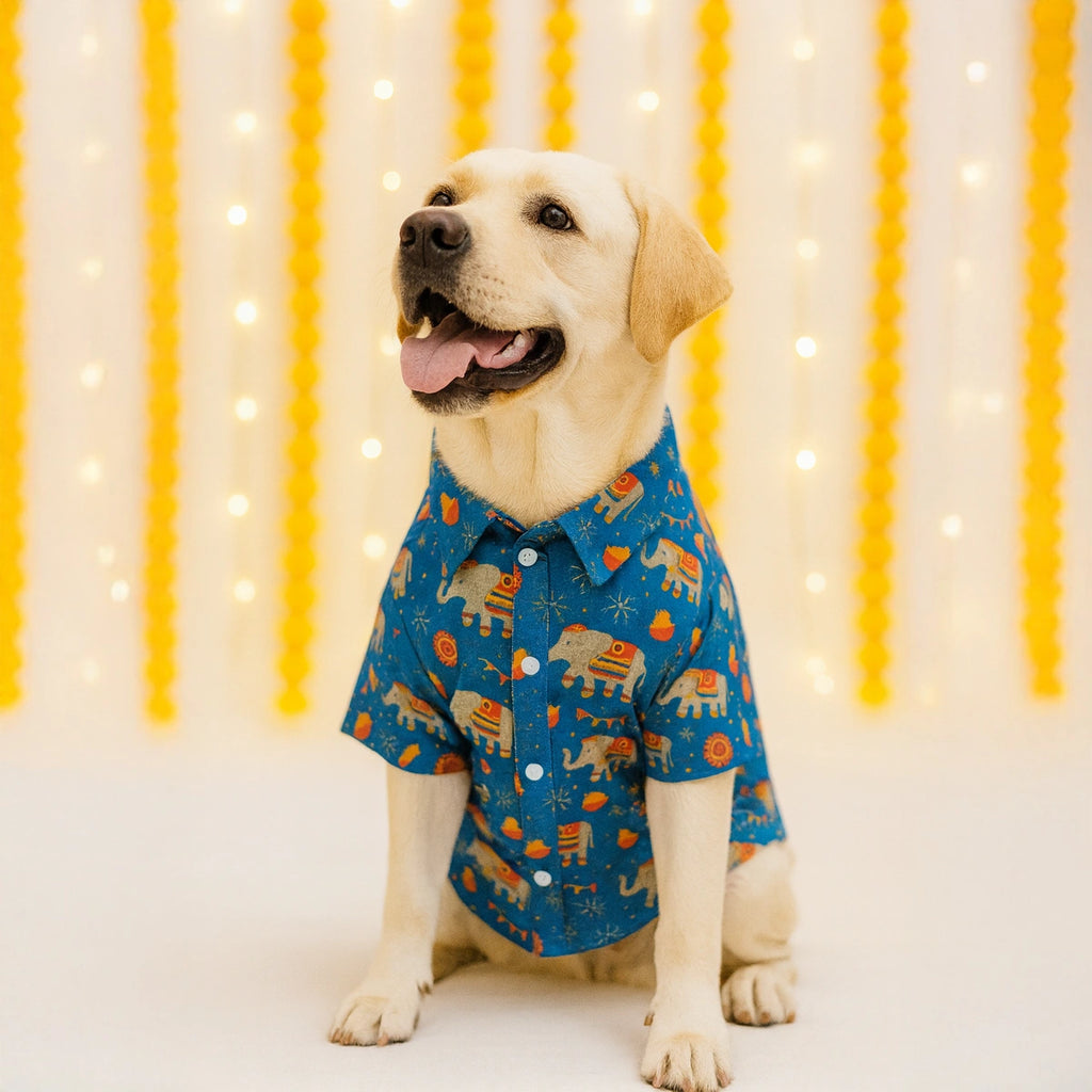 Thunder Tails Blue Festive Shirt