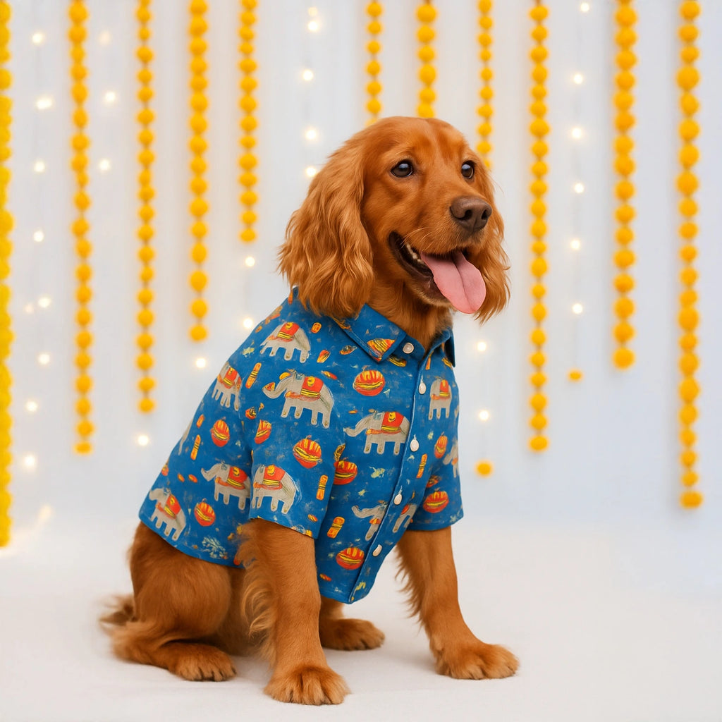 Thunder Tails Blue Festive Shirt