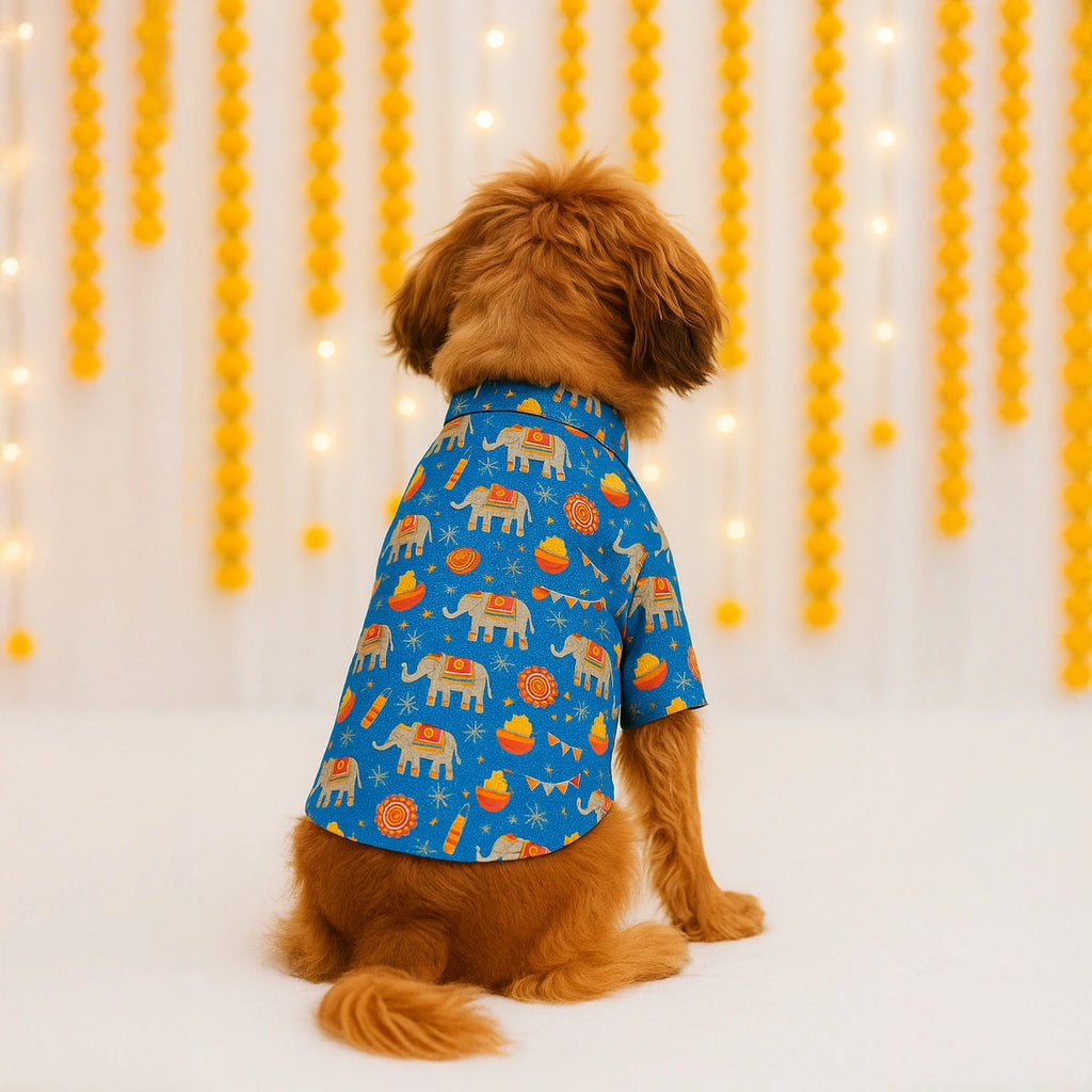 Thunder Tails Blue Festive Shirt