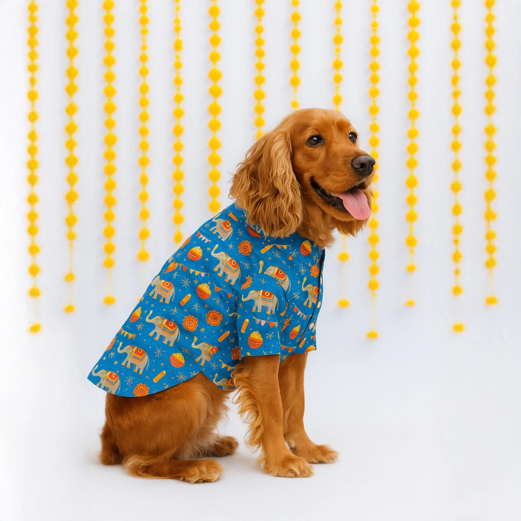 Thunder Tails Blue Festive Shirt