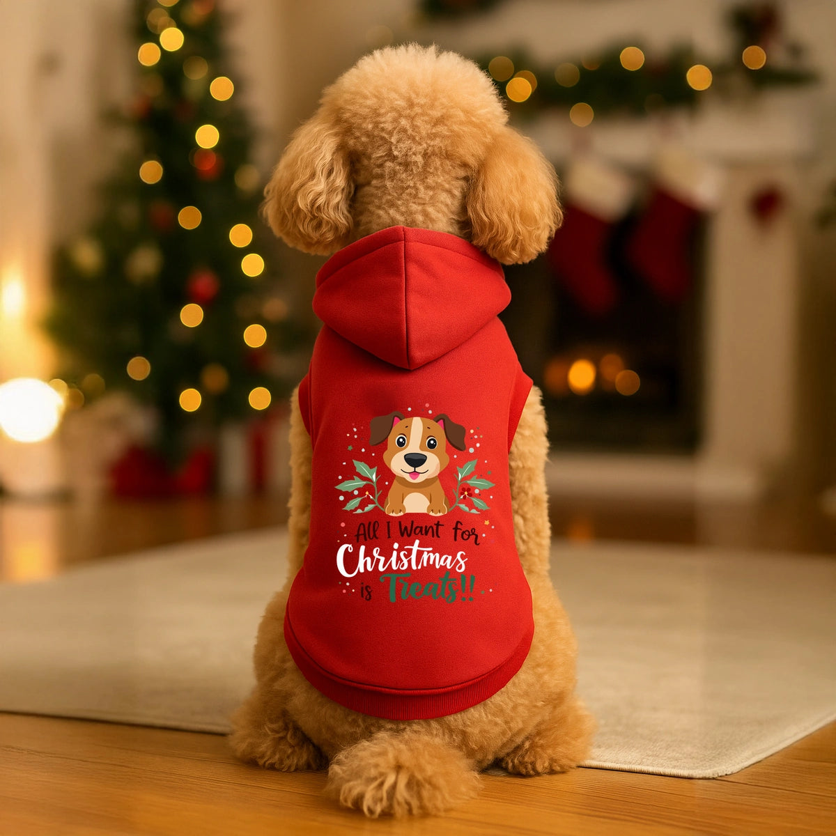 Thunder Tails All I want for Christmas is treats Hoodie