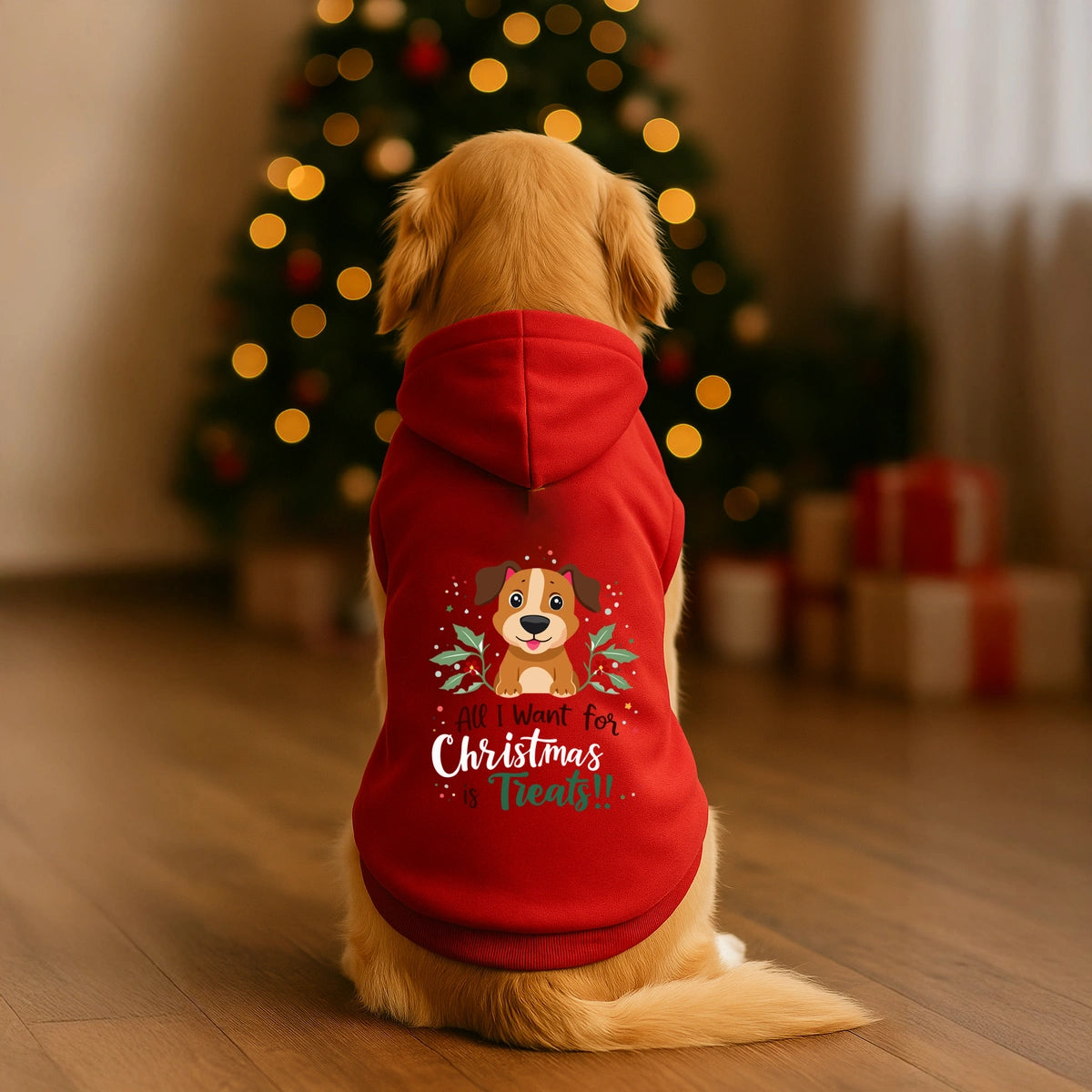 Thunder Tails All I want for Christmas is treats Hoodie