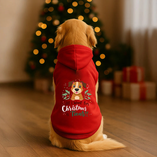 Thunder Tails All I want for Christmas is treats Hoodie