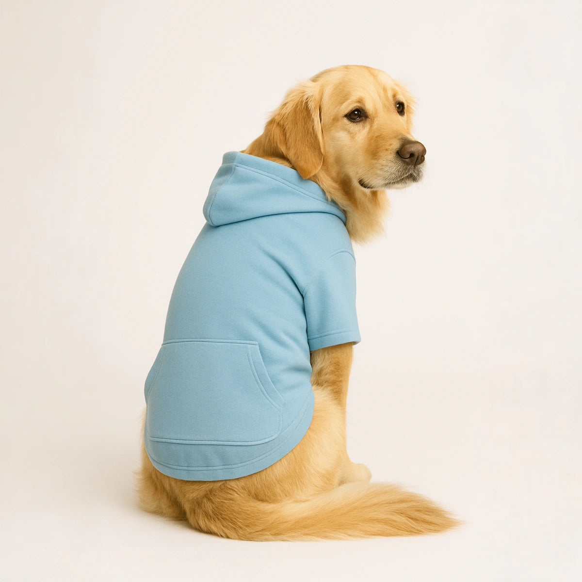 Thunder Tails Fleece Hoodies with Pocket - Baby Blue