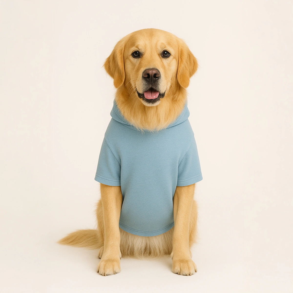 Thunder Tails Fleece Hoodies with Pocket - Baby Blue