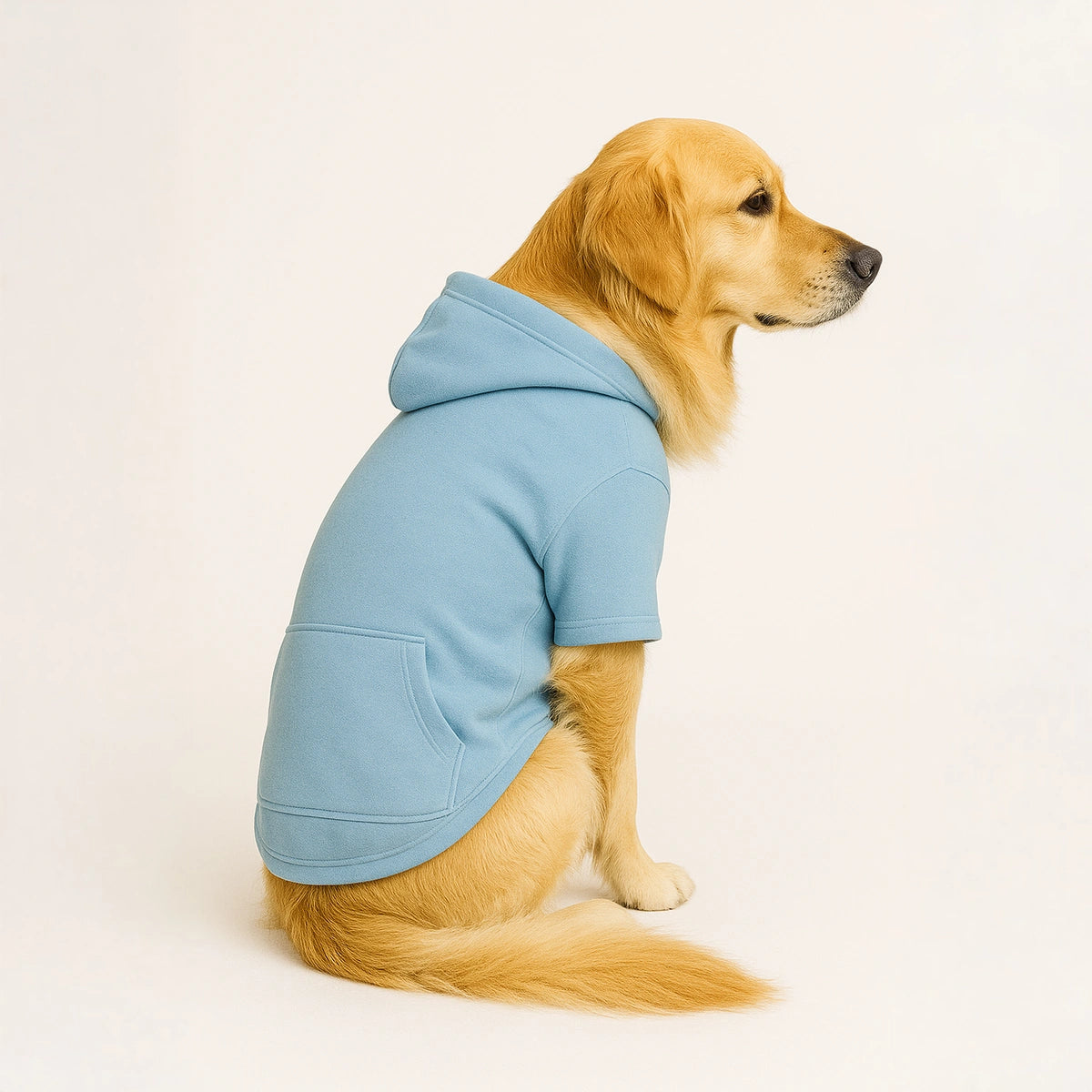 Thunder Tails Fleece Hoodies with Pocket - Baby Blue