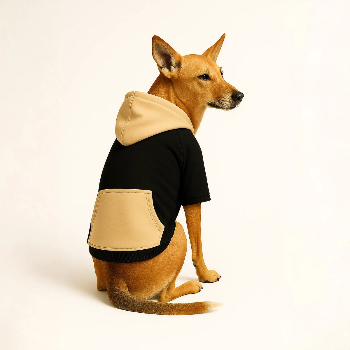 Thunder Tails Color Block Fleece Hoodies with Pocket - Black/Beige