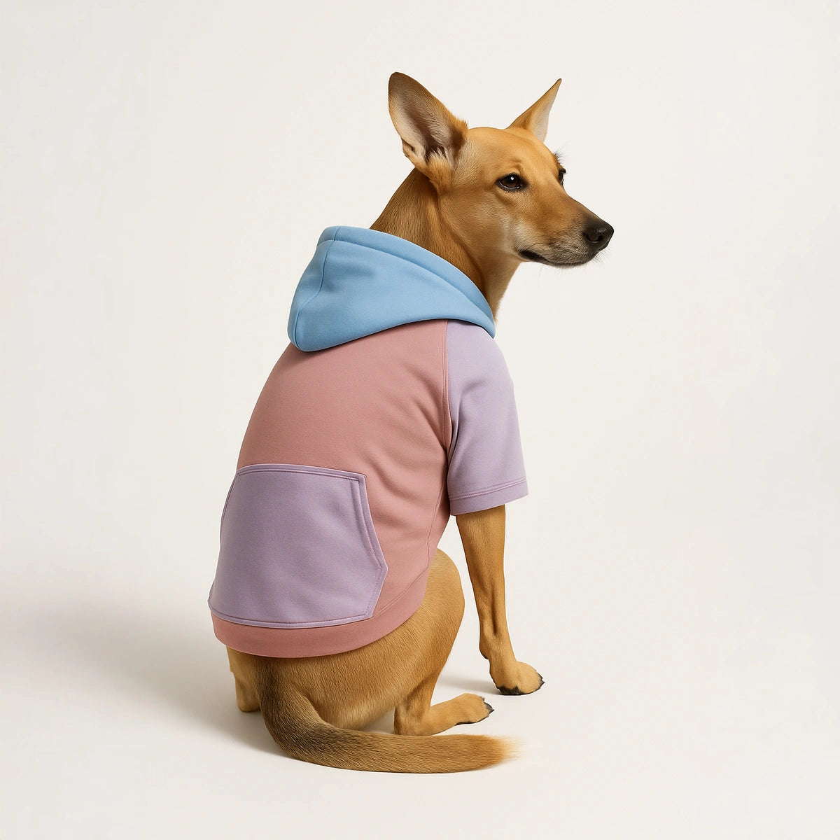 Thunder Tails Color Block Fleece Hoodies with Pocket - Mauve/Lilac/Baby Blue