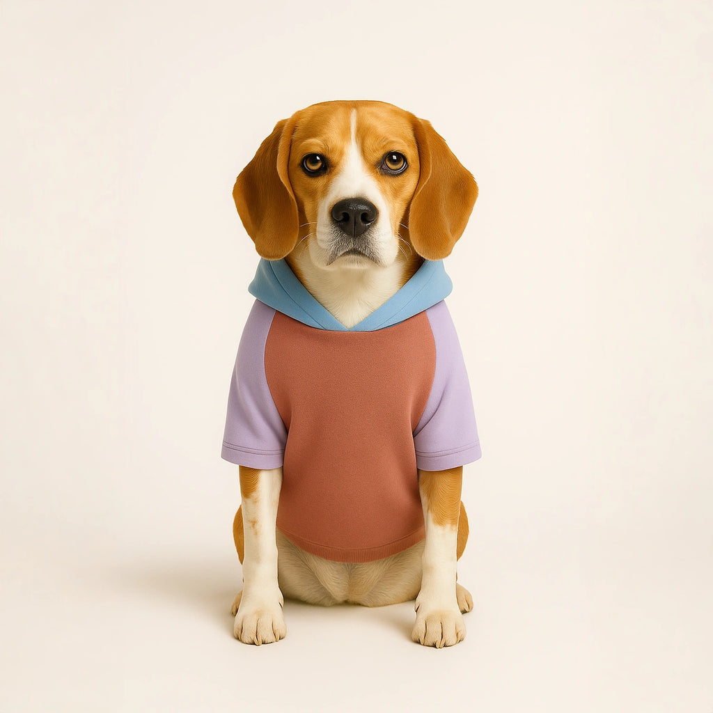 Thunder Tails Color Block Fleece Hoodies with Pocket - Mauve/Lilac/Baby Blue