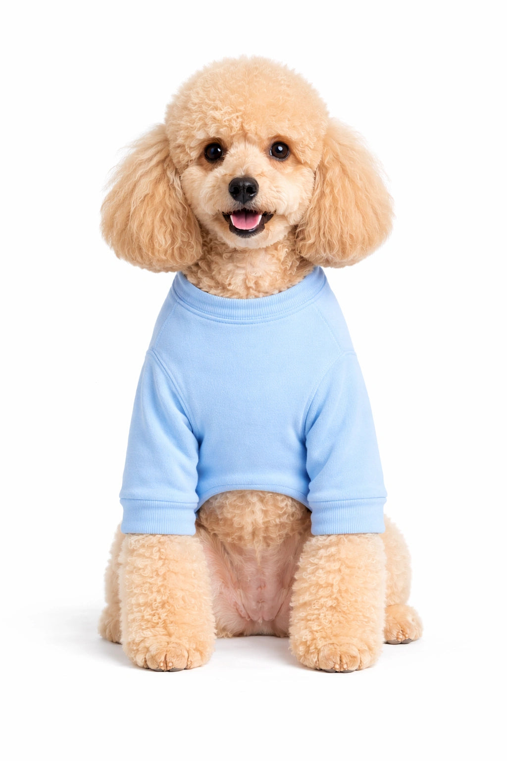 Thunder Tails Fleece Sweatshirt - Happy Soul