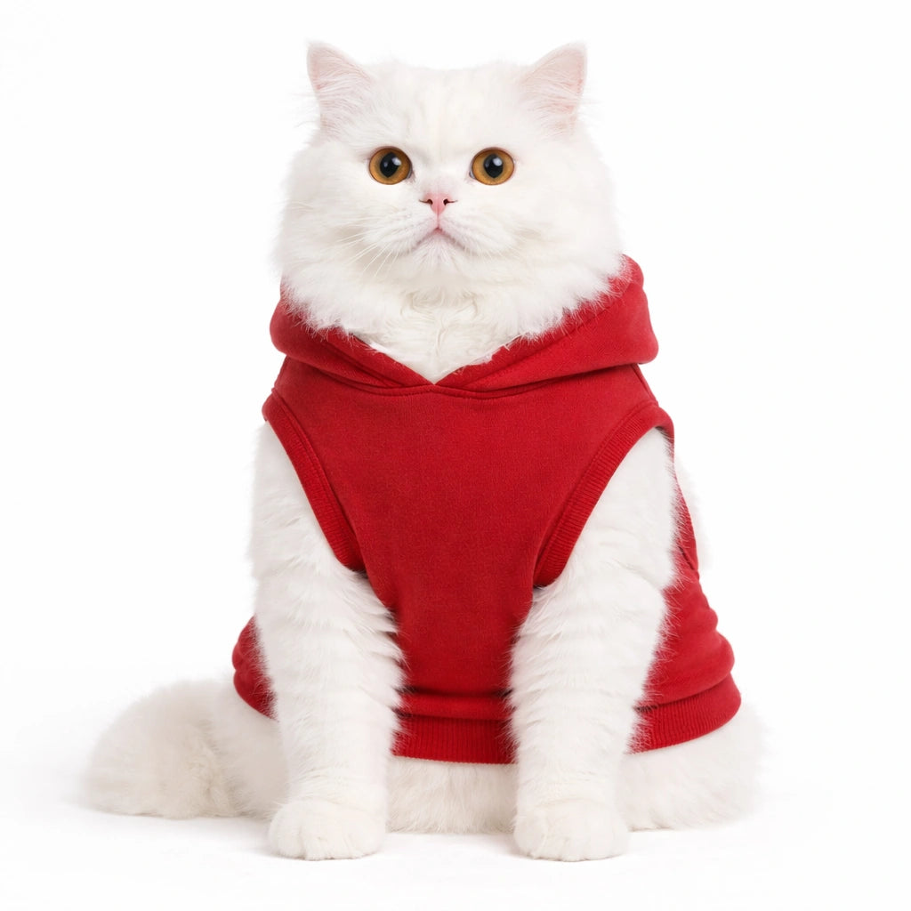 Thunder Tails Need More Sleep Cat Hoodie