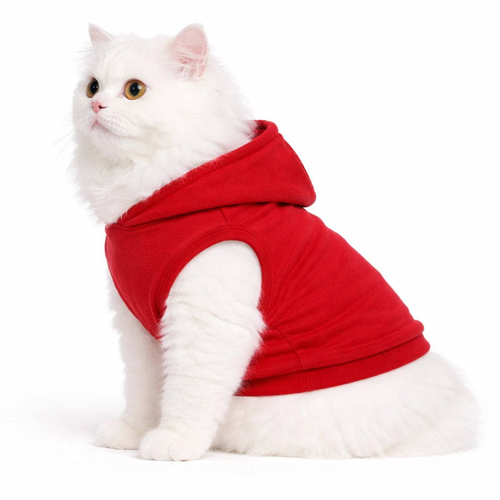 Thunder Tails Need More Sleep Cat Hoodie