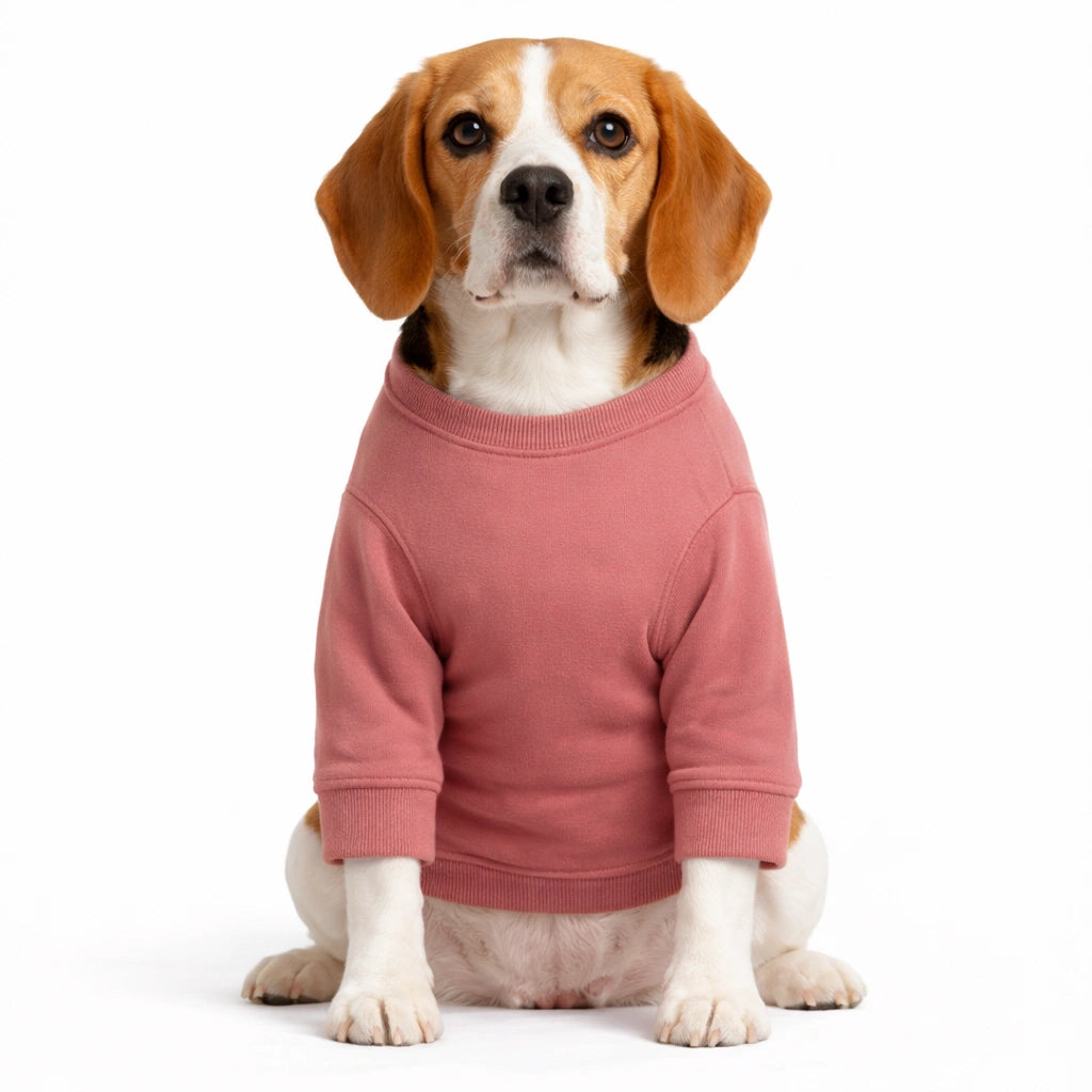 Thunder Tails Pink Panther Hoodie