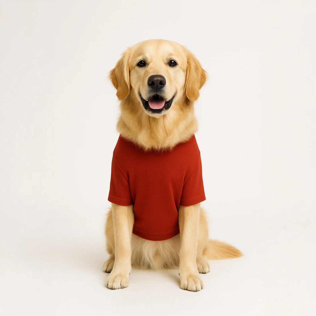 Thunder Tails Fleece Hoodies with Pocket - Red