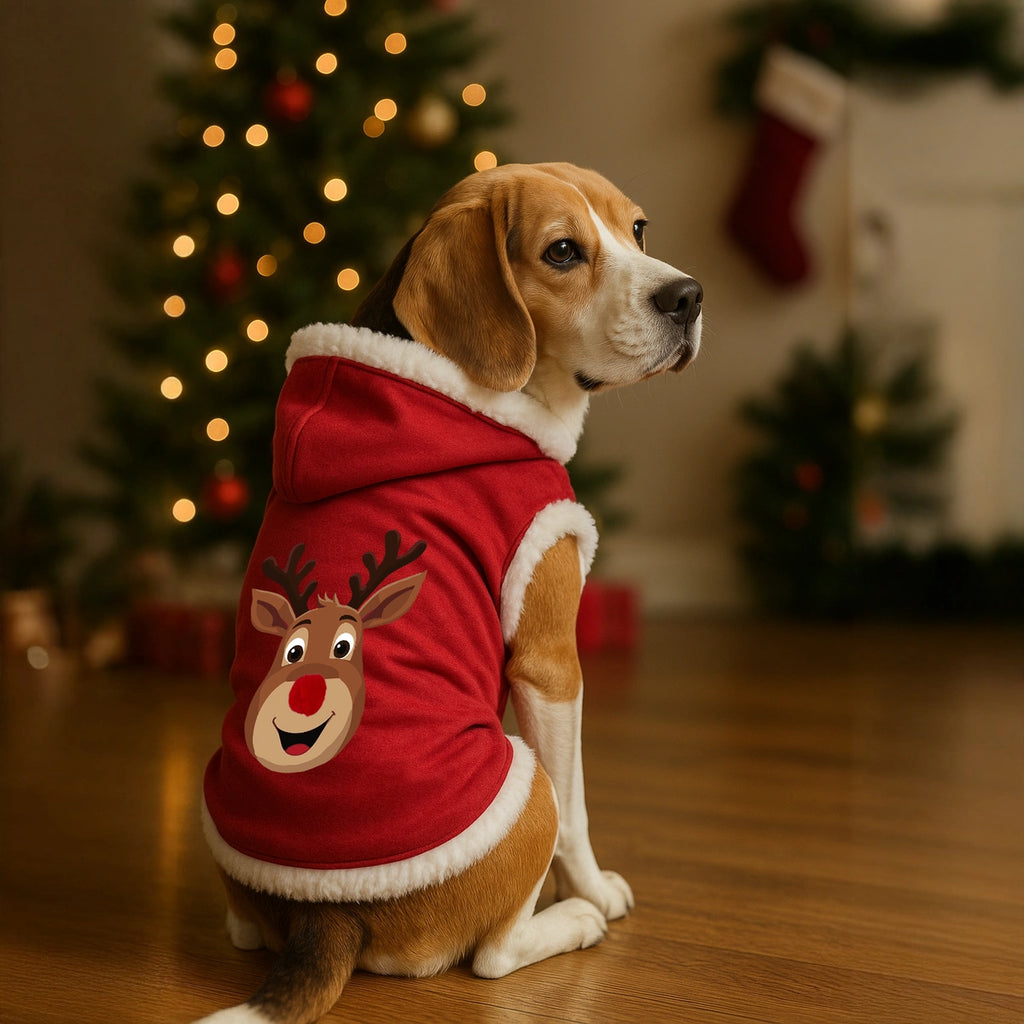 Thunder Tails Reindeer Hoodie