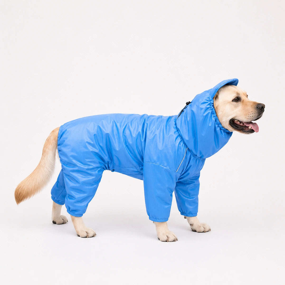 Thunder Tails Fully Covered Raincoat - Light Blue