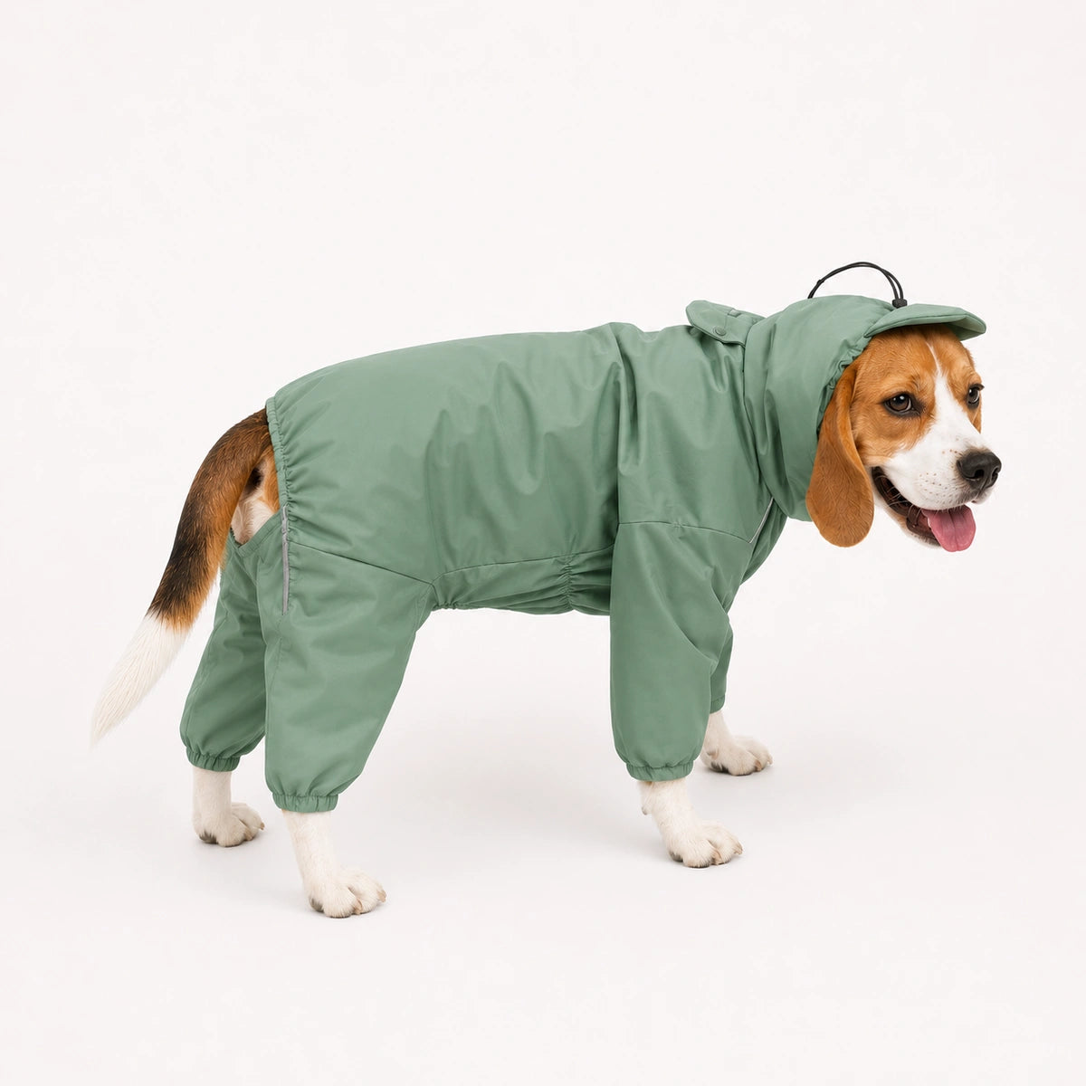 Thunder Tails Fully Covered Raincoat - Mint Green
