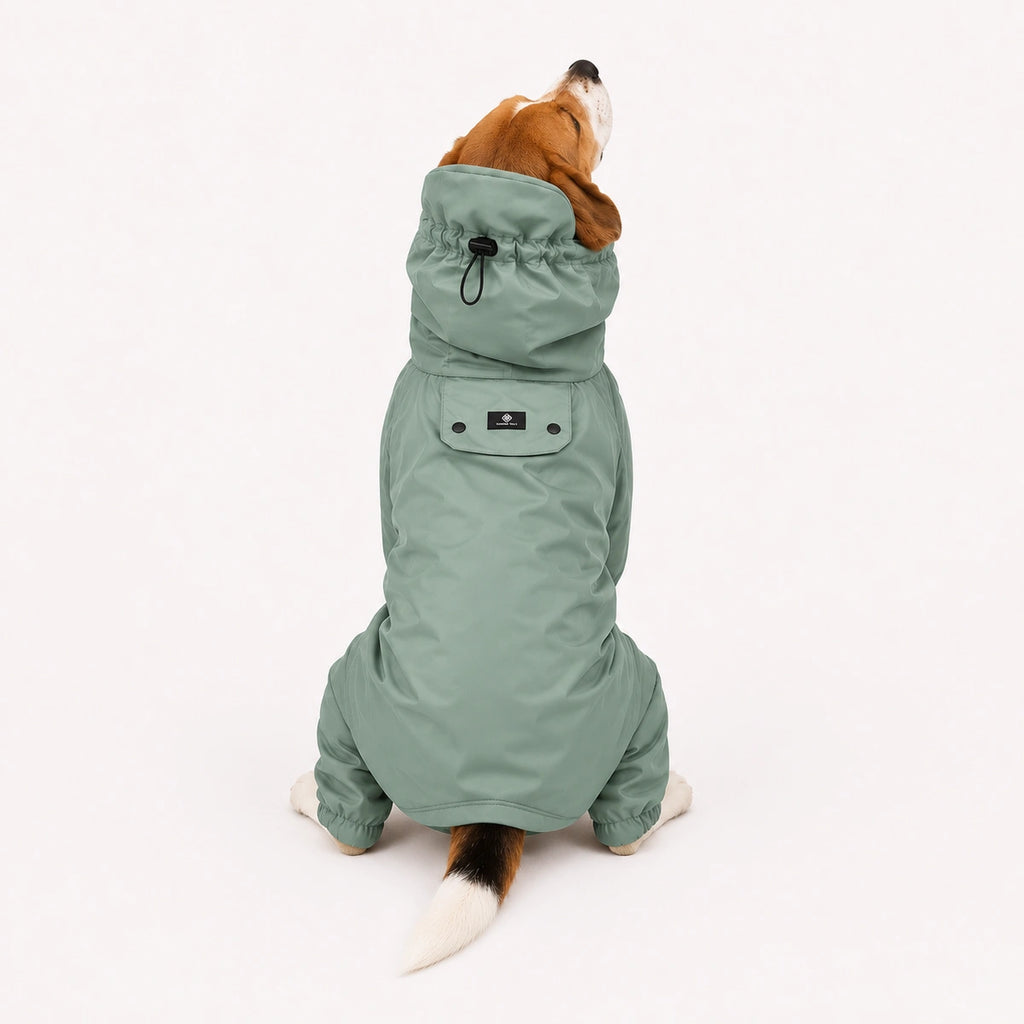Thunder Tails Fully Covered Raincoat - Mint Green