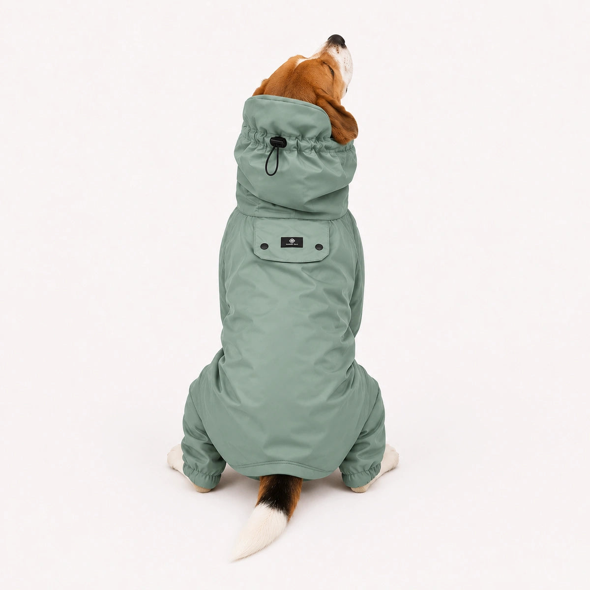 Thunder Tails Fully Covered Raincoat - Mint Green