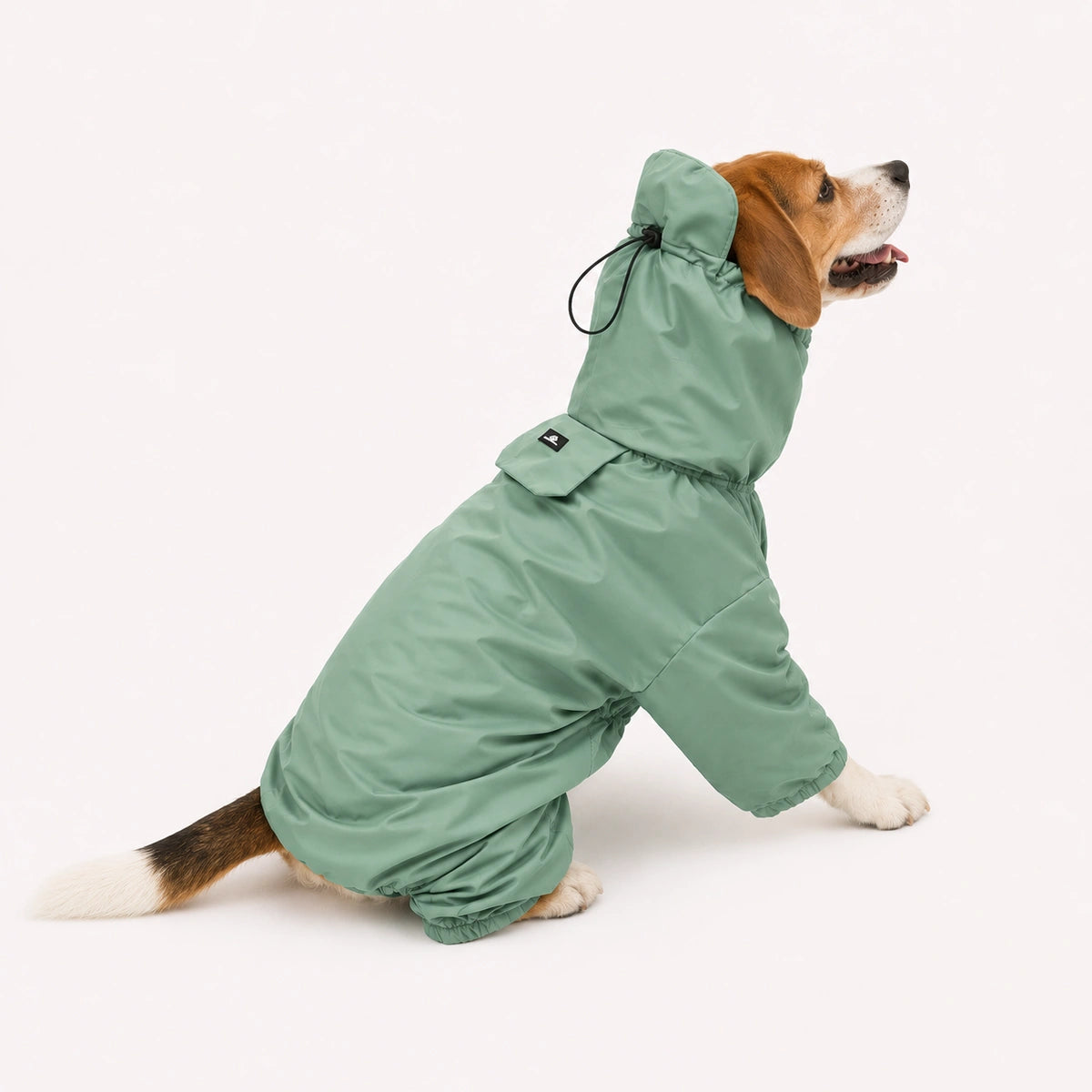 Thunder Tails Fully Covered Raincoat - Mint Green