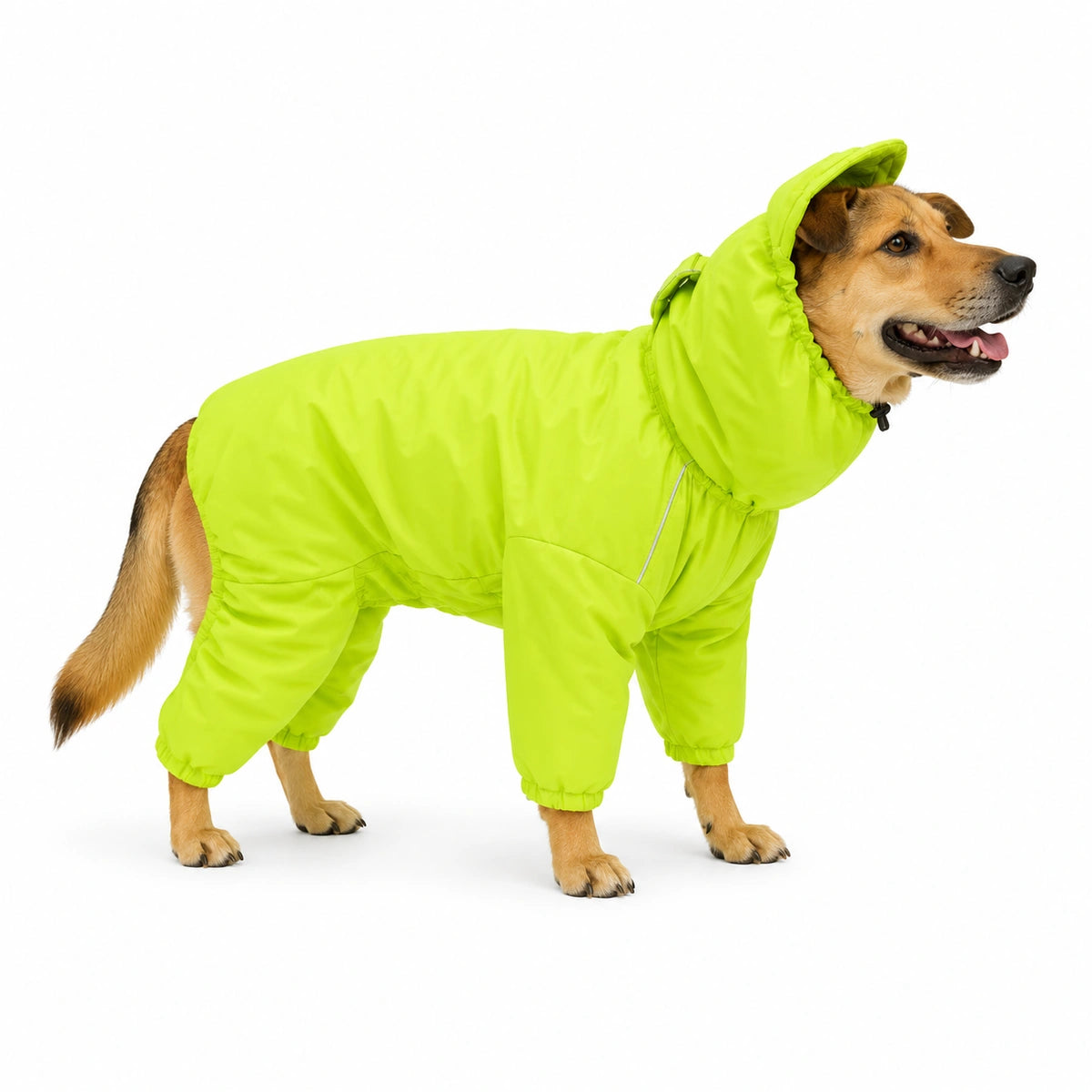 Thunder Tails Fully Covered Raincoat - Neon