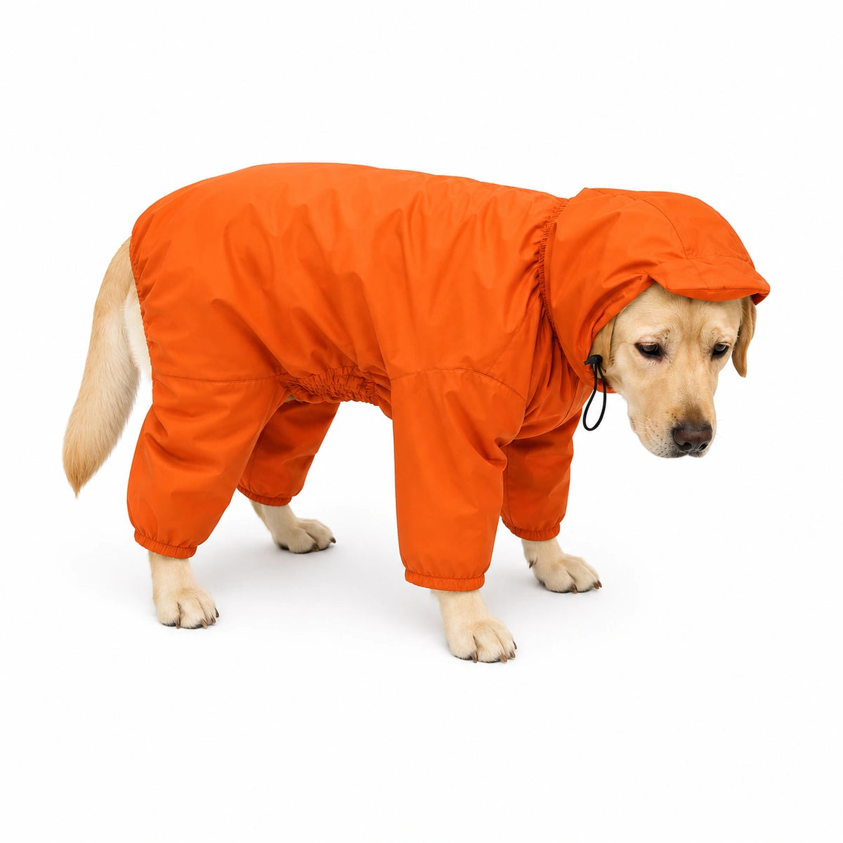 Thunder Tails Fully Covered Raincoat - Orange