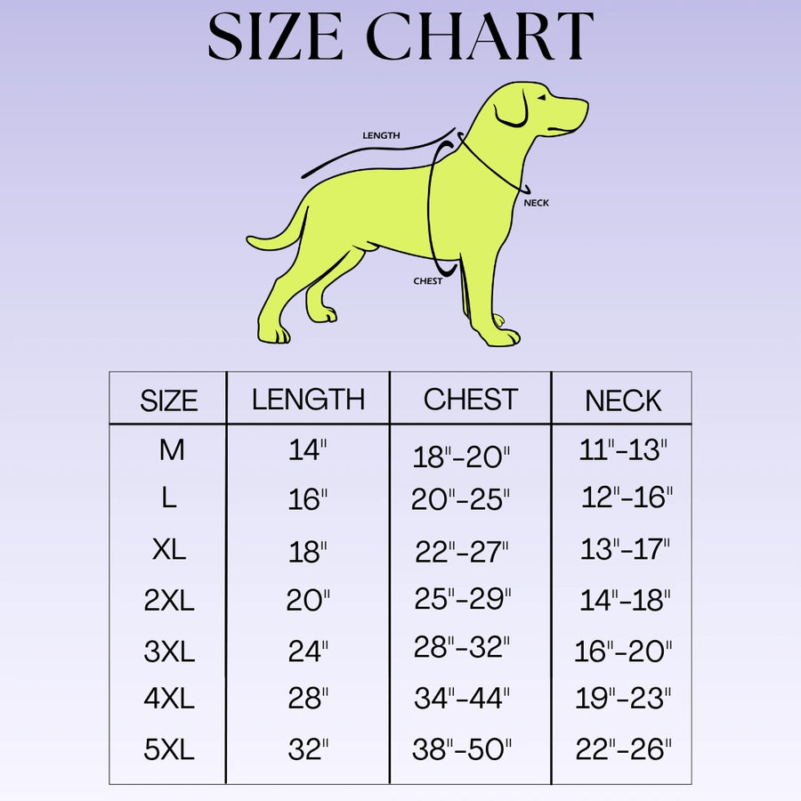 Dog Size Chart