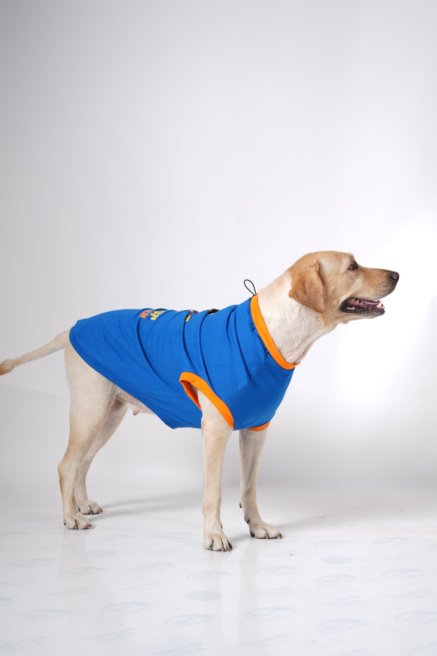 Thunder Tails FUR-EVER ROCKSTAR Adjustable Graphic T-shirt