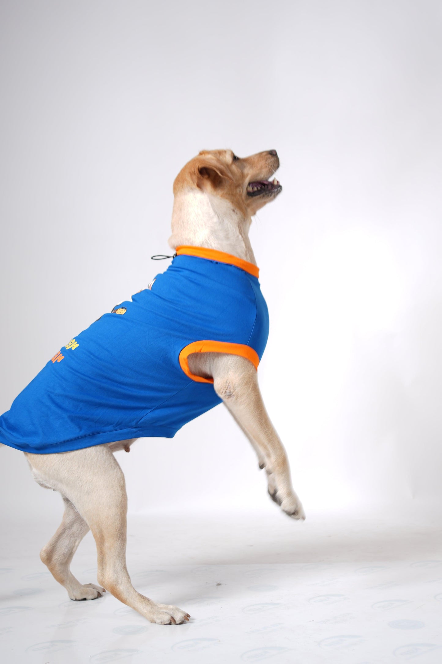 Thunder Tails FUR-EVER ROCKSTAR Adjustable Graphic T-shirt