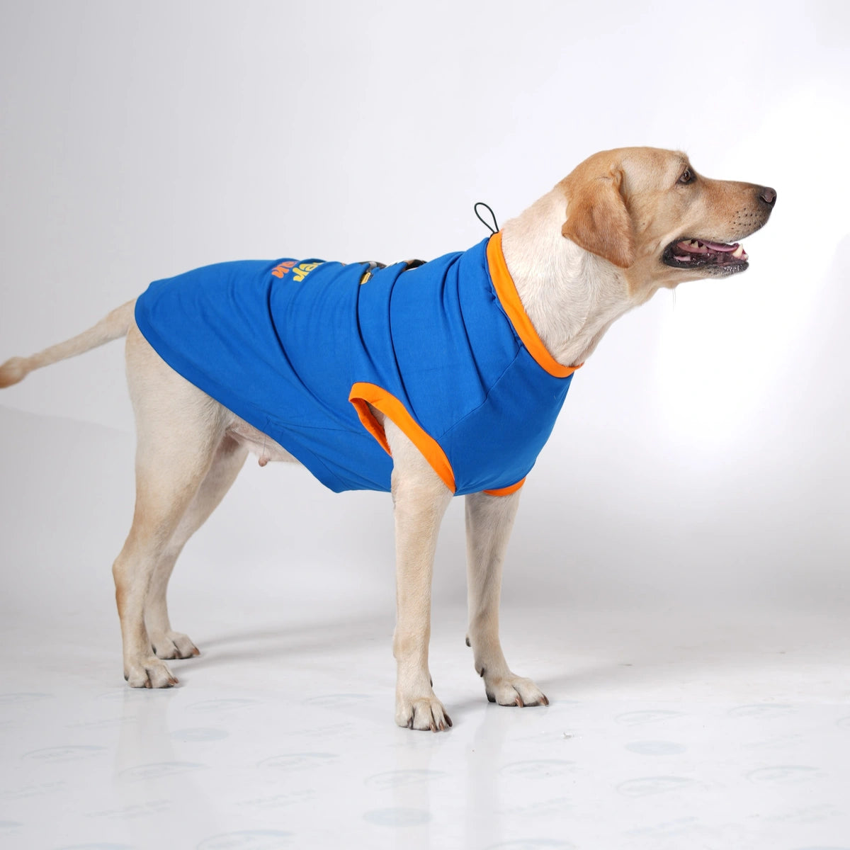 Thunder Tails FUR-EVER ROCKSTAR Adjustable Graphic T-shirt