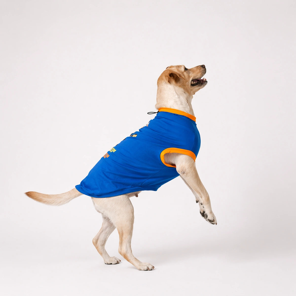 Thunder Tails FUR-EVER ROCKSTAR Adjustable Graphic T-shirt