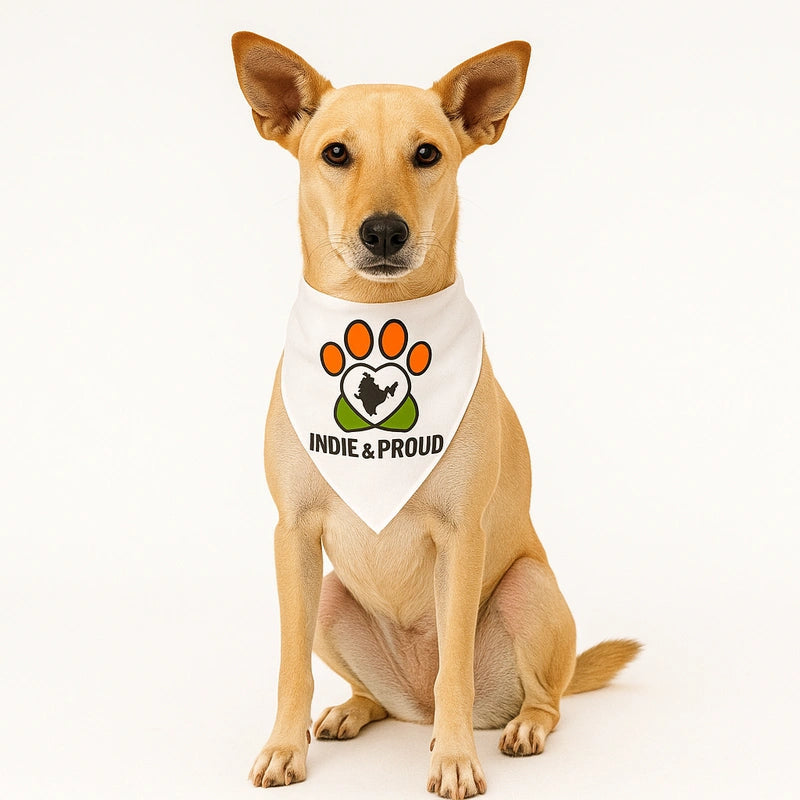 Thunder Tails Paws of Freedom Bandana - Indie & Proud