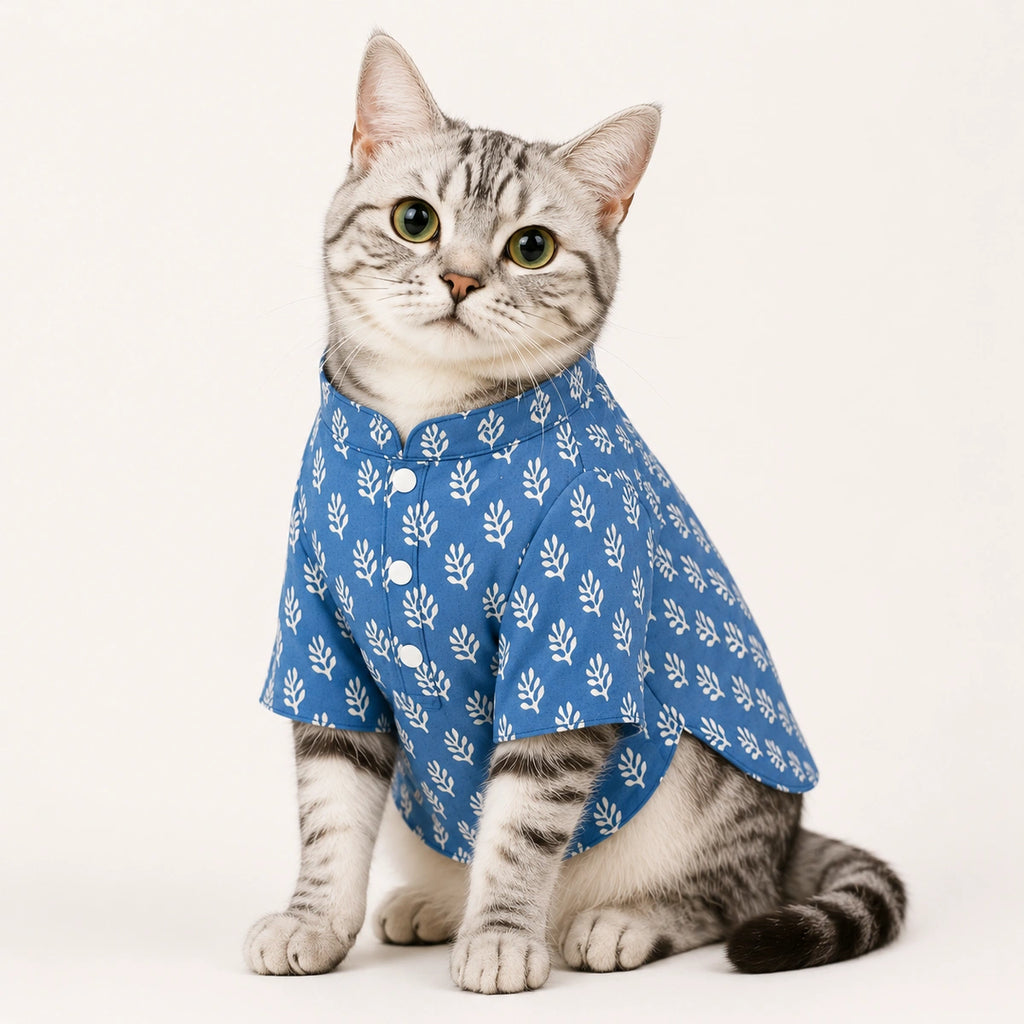 Thunder Tails Indigo Cat Festive Kurta