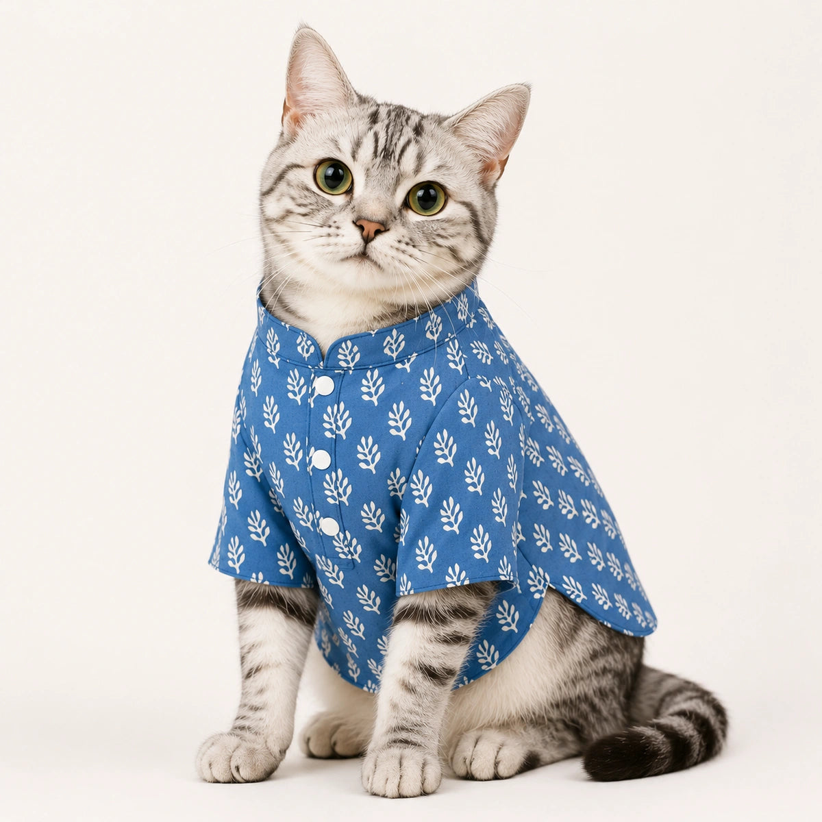 Thunder Tails Indigo Cat Festive Kurta