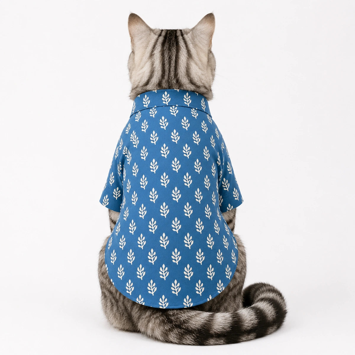 Thunder Tails Indigo Cat Festive Kurta