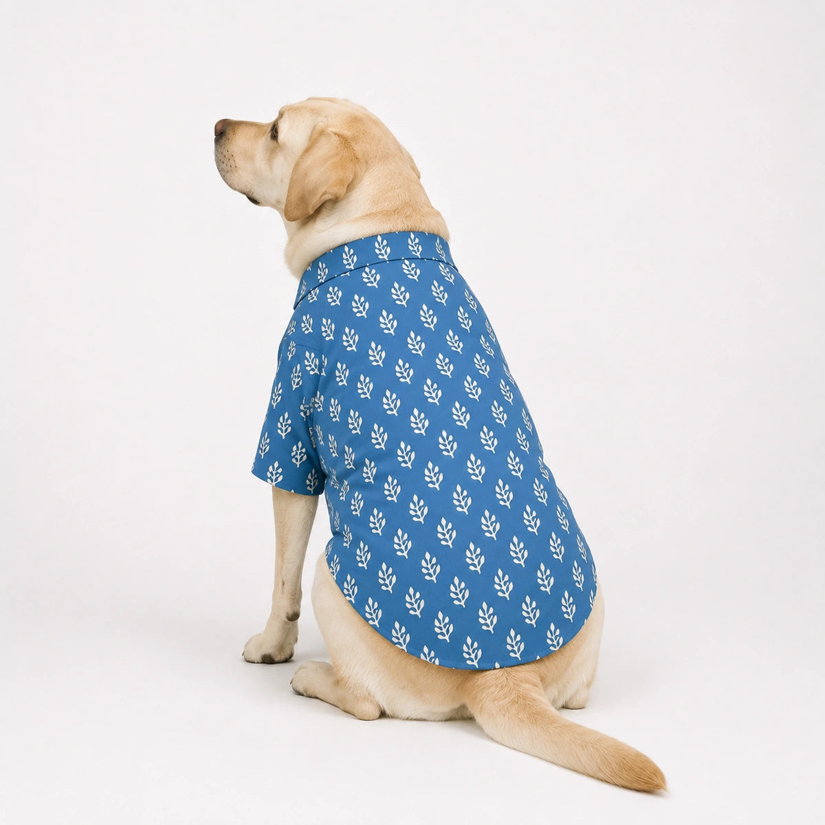 Thunder Tails Indigo Festive Dog Kurta