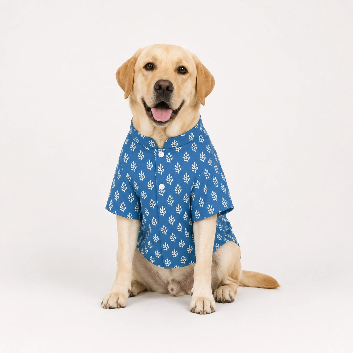 Thunder Tails Indigo Festive Dog Kurta