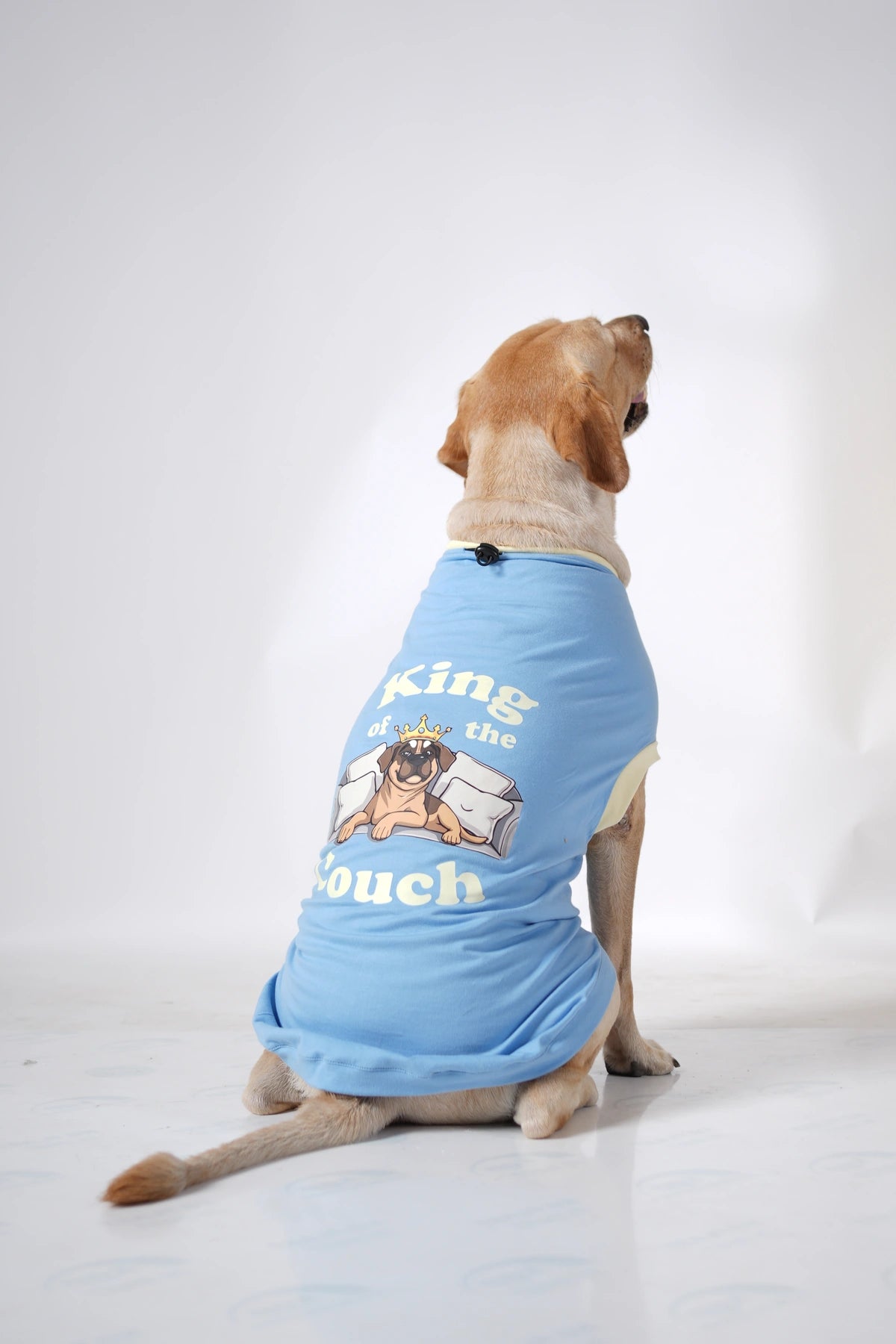 Thunder Tails KING OF THE COUCH Adjustable Graphic T-shirt