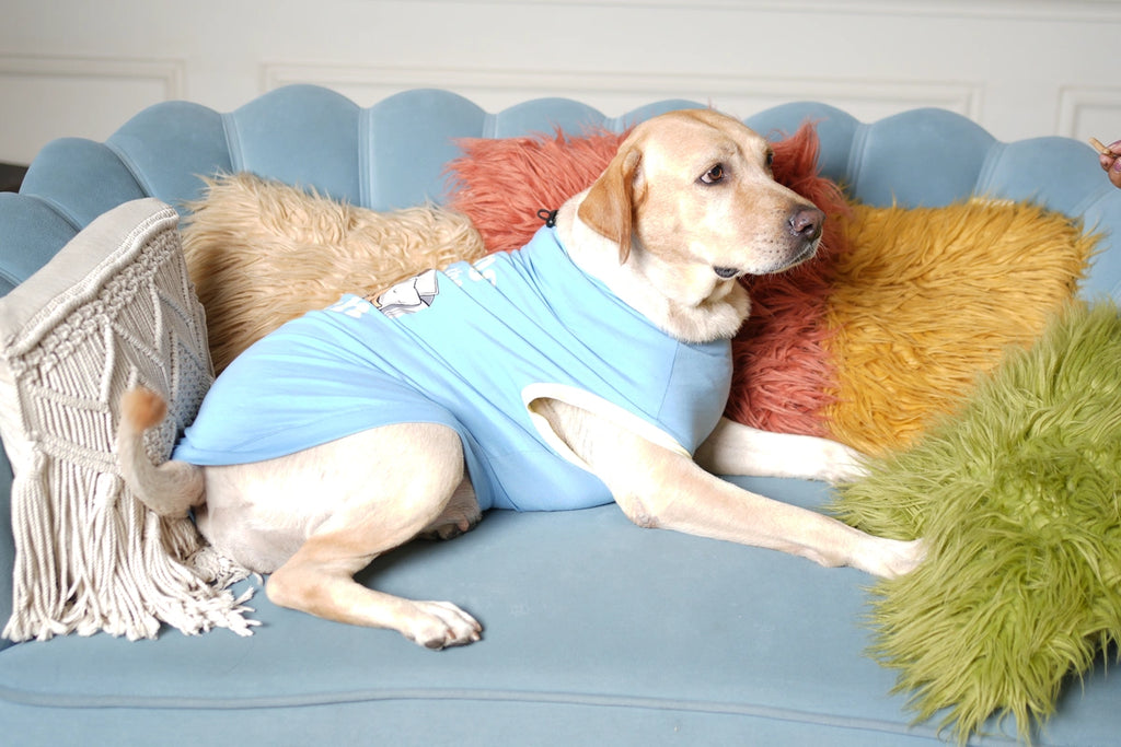 Thunder Tails KING OF THE COUCH Adjustable Graphic T-shirt