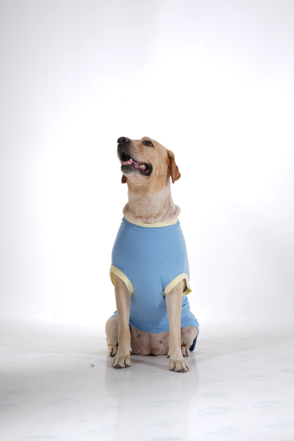 Thunder Tails KING OF THE COUCH Adjustable Graphic T-shirt