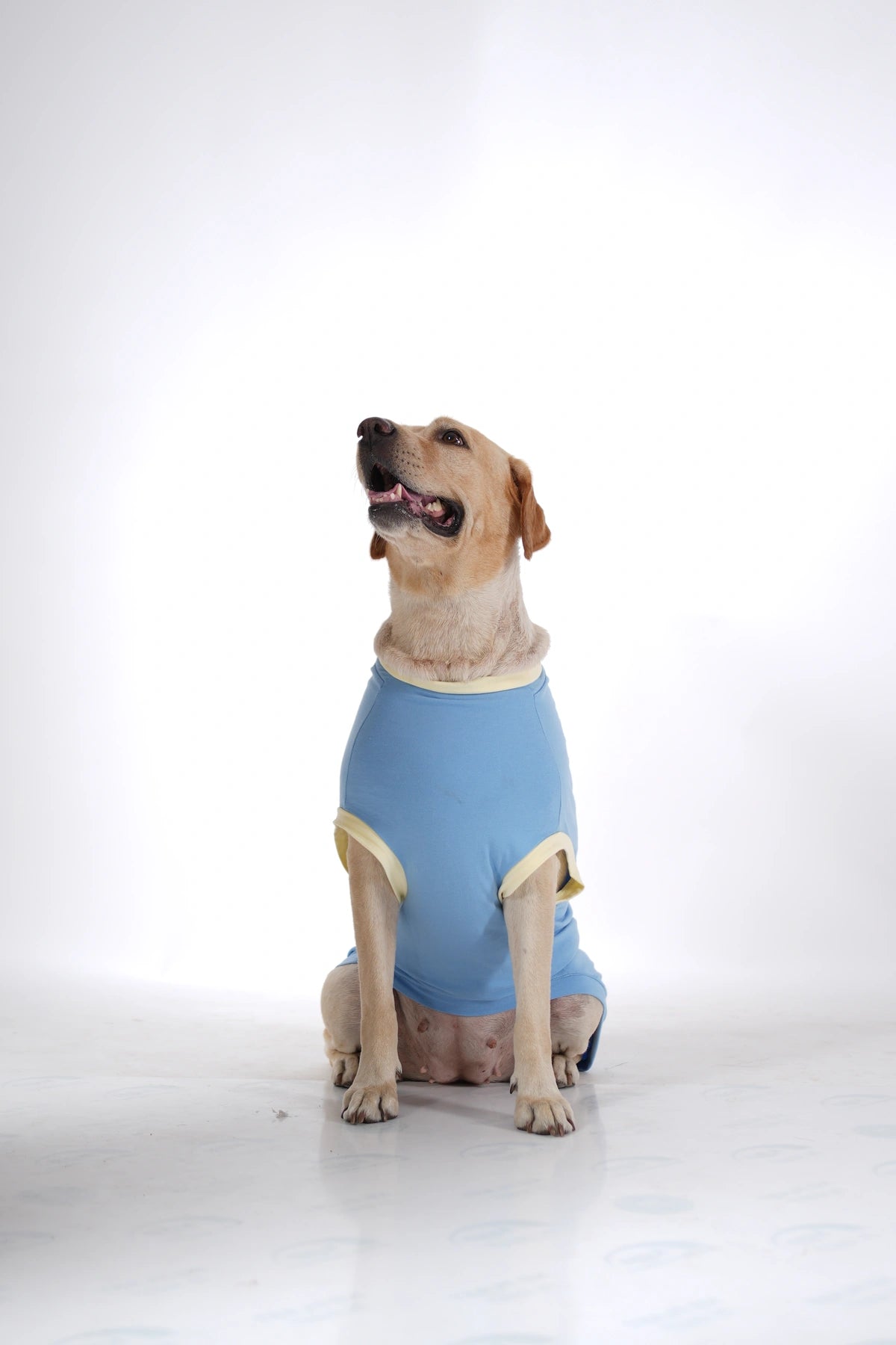 Thunder Tails KING OF THE COUCH Adjustable Graphic T-shirt