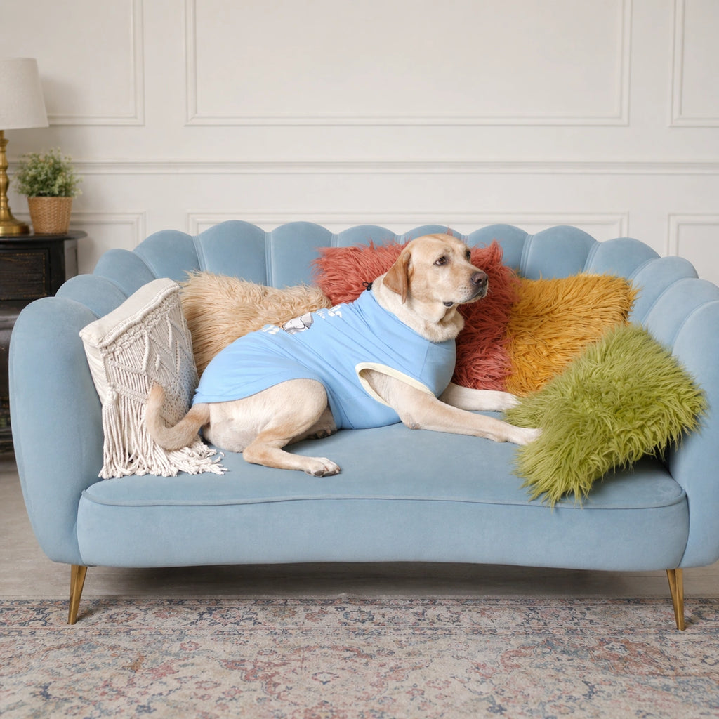 Thunder Tails KING OF THE COUCH Adjustable Graphic T-shirt